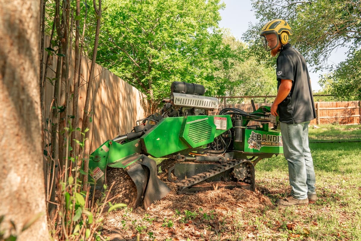 Stump Grinding & Removal