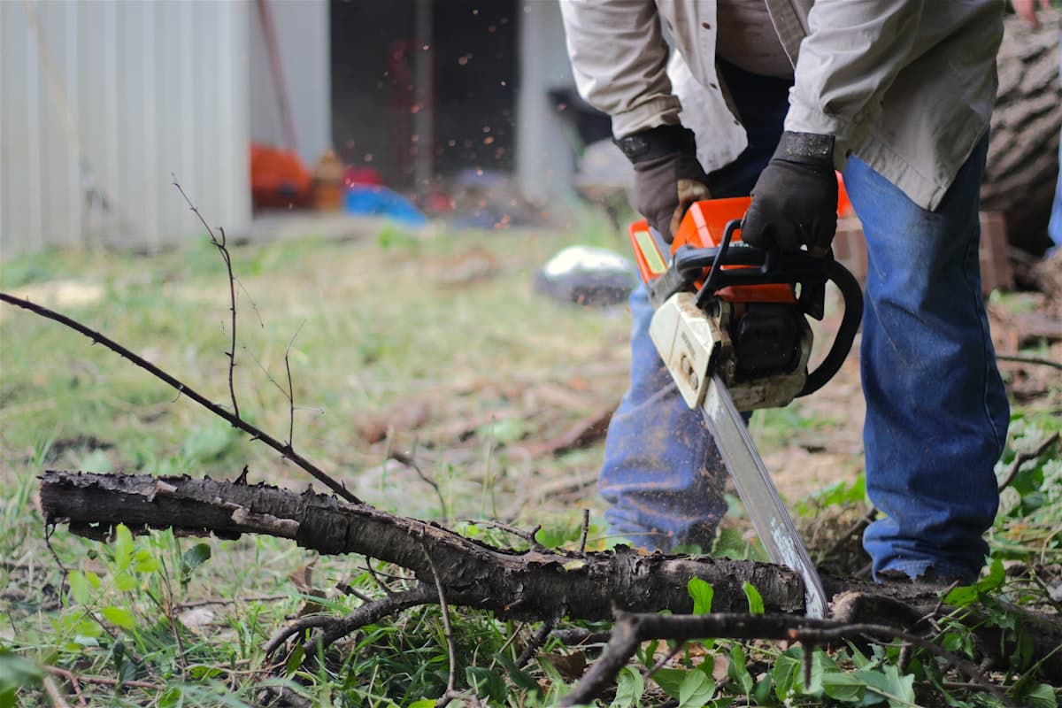 Tree Removal & Trimming
